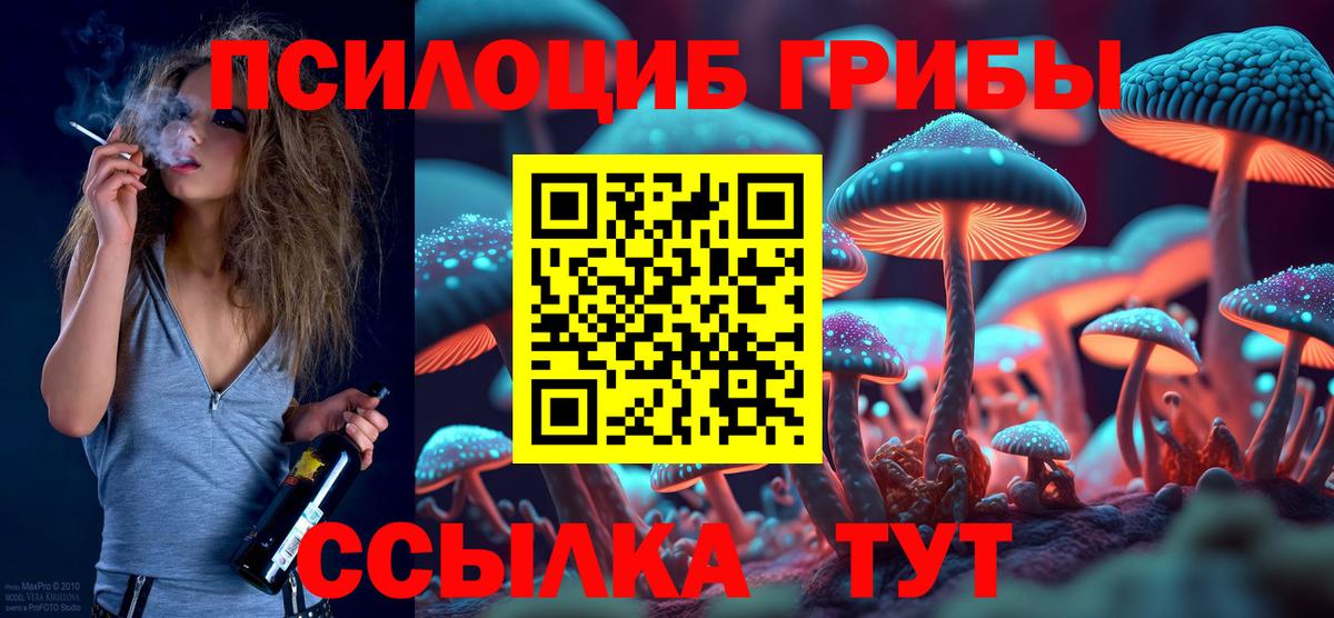 Псилоцибиновые грибы Psilocybe  Вход с VPN  Фрязино  Галлюциногенные грибы Cubensis 